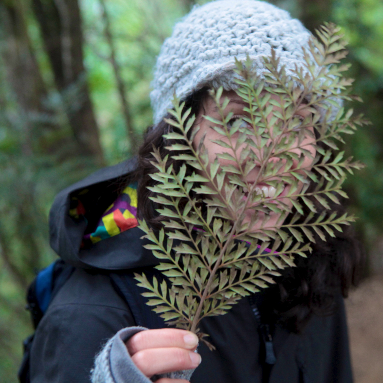 Leaf veil