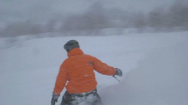 Day 14: Alpine Meadows