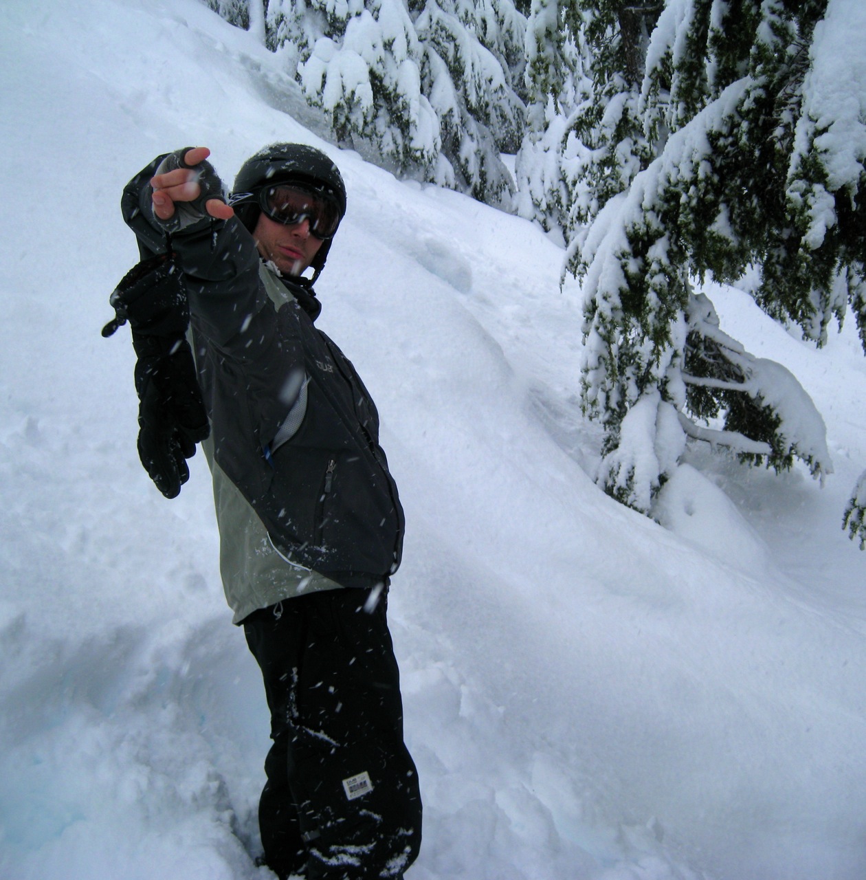 Zachary in the trees on the North Face
