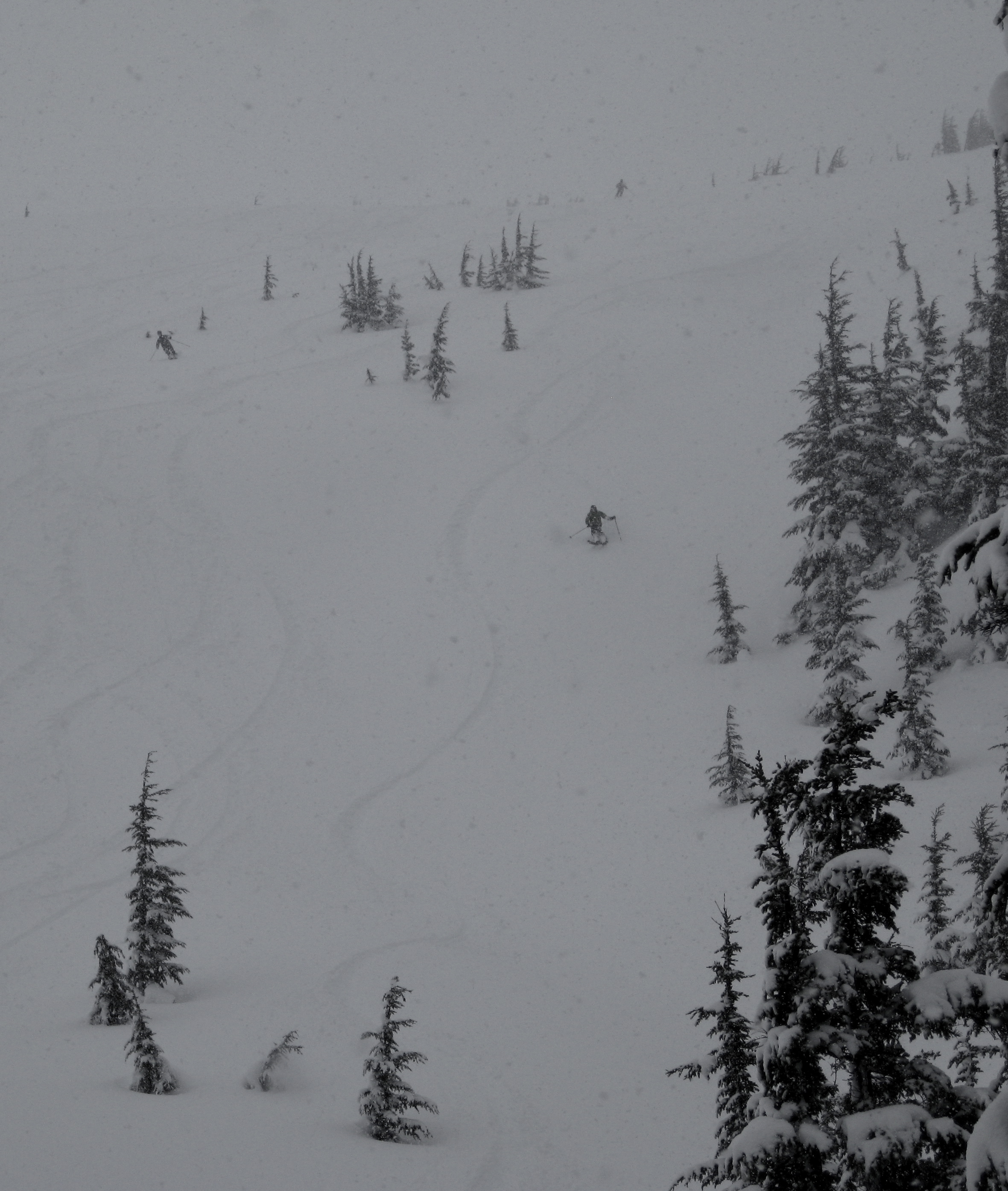 Chugach Cat Skiing