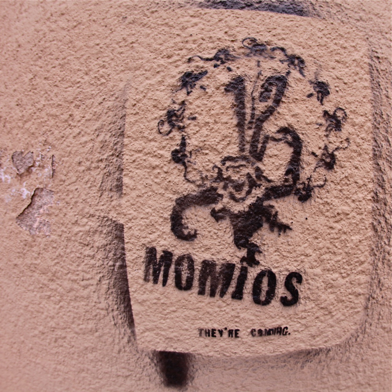 12 Momios
