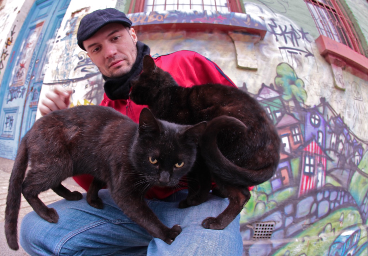 Public Cats