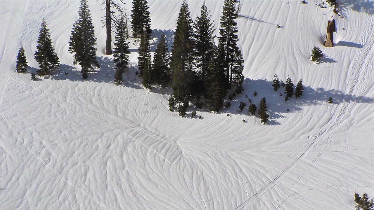 Snow Patterns