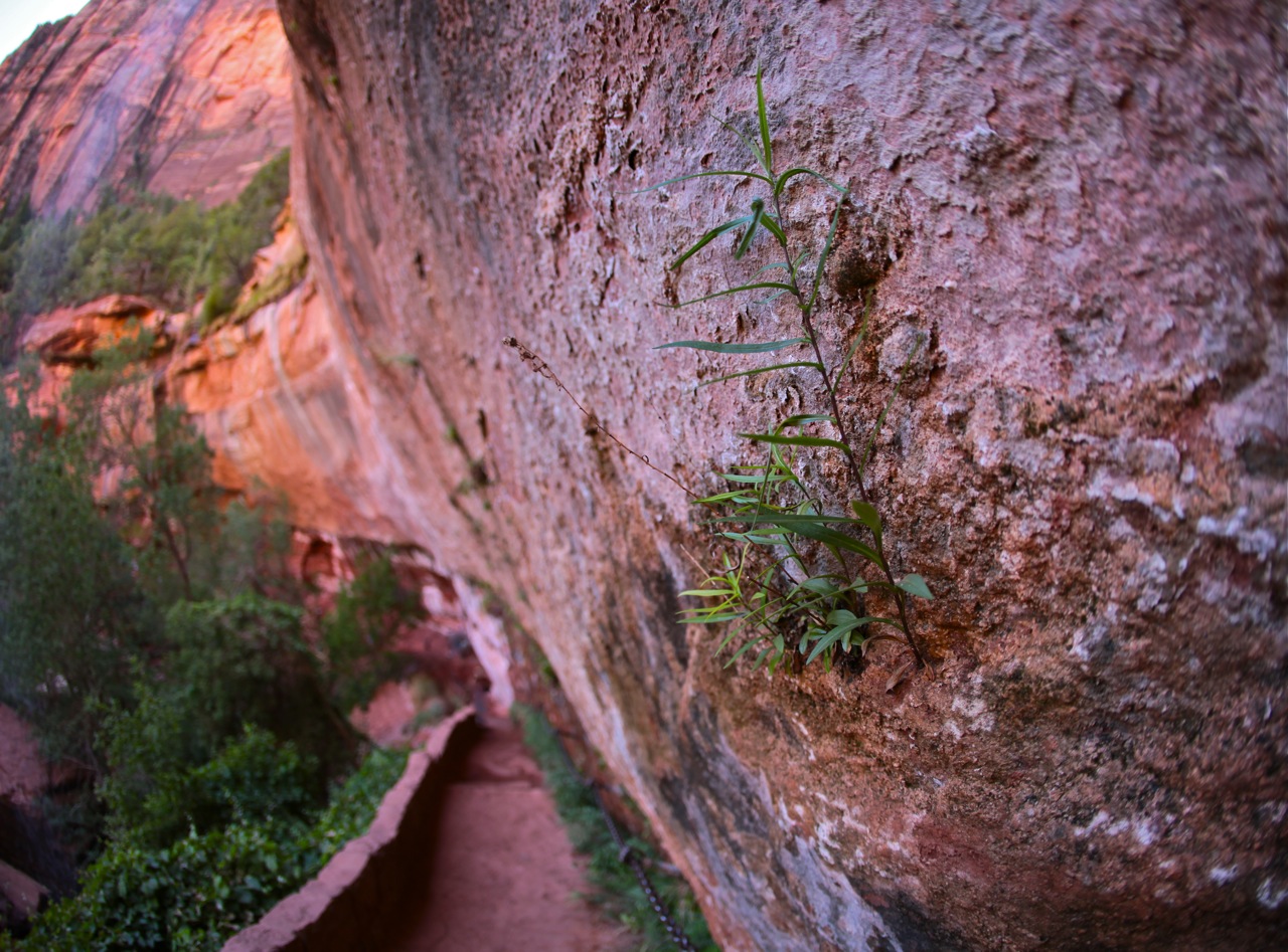 Utah Trip - 08